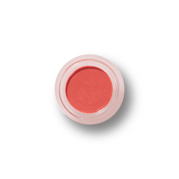 100% PURE Fruit Pigmented Lip & Cheek Tint shimmery cocoa berry