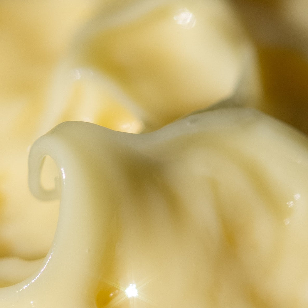 Surya Balancing Collagen Cream in a glass jar: Rich, 100% natural cream with botanicals and camel’s milk collagen for deep hydration and nourishment.