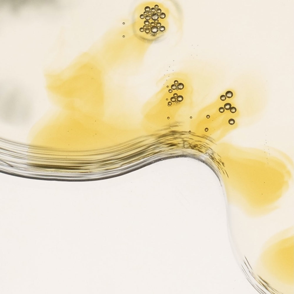 Surya Balancing Face Oil in a glass bottle, showcasing a rich, golden hue, surrounded by natural Ayurvedic ingredients like saffron, sandalwood, and neem leaf. The oil is designed for nourishing and revitalizing the skin, suitable for all skin types.