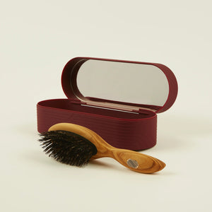 ALTESSE STUDIO Care & Shine Hairbrush Petite Fine to Medium Hair