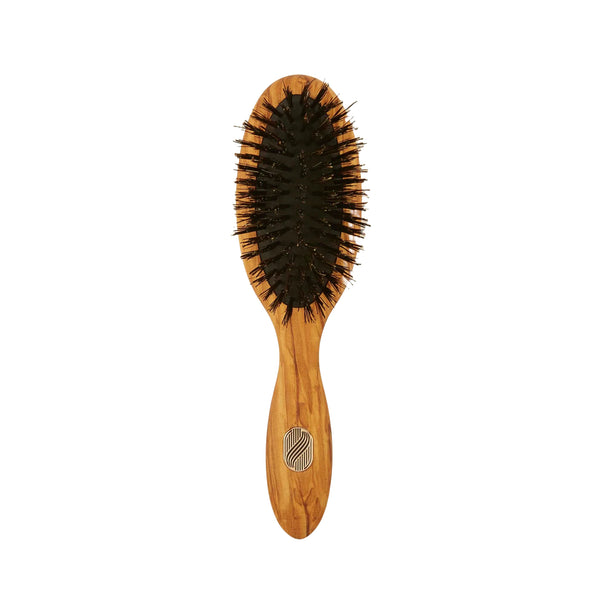 ALTESSE STUDIO Care & Shine Hairbrush Petite Fine to Medium Hair