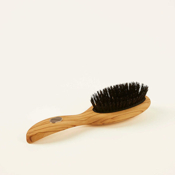 ALTESSE STUDIO Care & Shine Hairbrush Petite Thick or Curly Hair