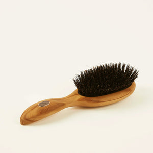 ALTESSE STUDIO Care & Shine Hairbrush Thick or Curly Hair