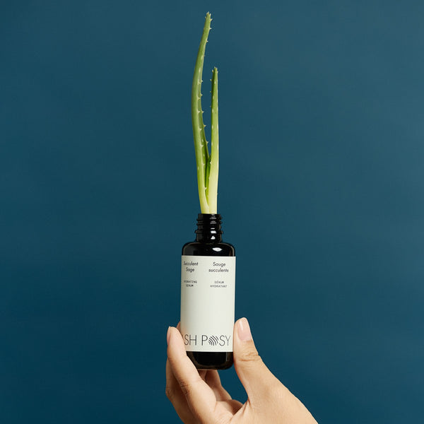 Hand holding a bottle of ASH POSY Succulent Sage Hydrating Serum with an aloe vera plant against a dark blue background