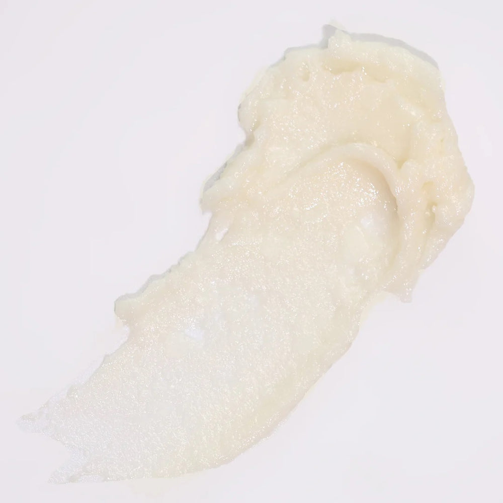 AXIOLOGY Vegan Lip Balm in plastic-free packaging made with meadowfoam oil and cocoa butter ALWAYS SHOW