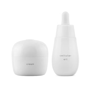 AYUNA LESS, BETTER Discovery Bundle