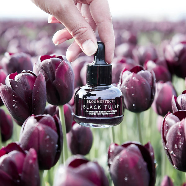 Bottle of Bloomeffects Black Tulip perfume held over a field of purple tulips.