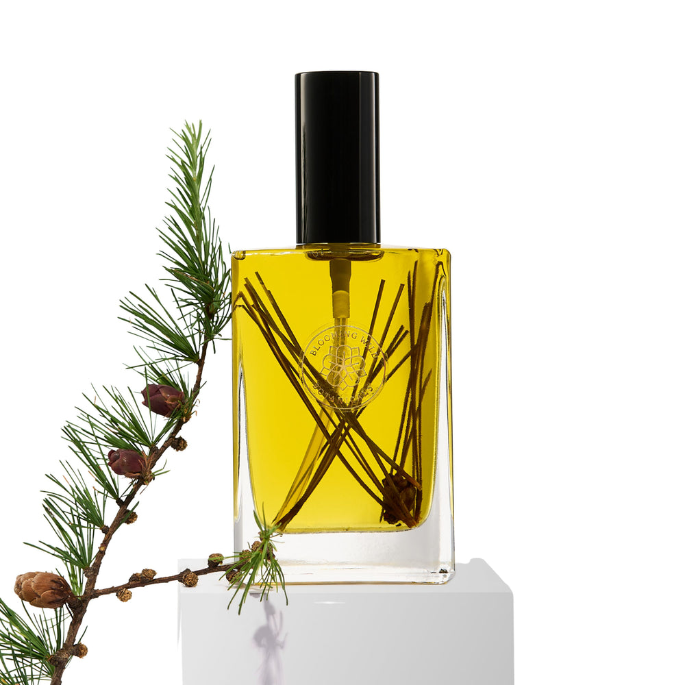 Blooming Wild Heartwood Body Oil in a glass bottle, infused with red pine, balsam fir, and cedar for deeply grounding skin nourishment.