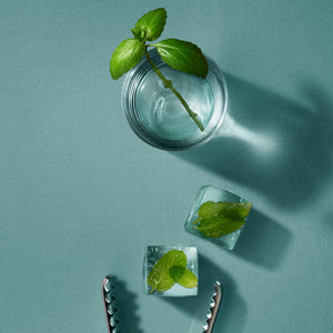 CLEO + COCO Body + Hair Powder Basil Mint