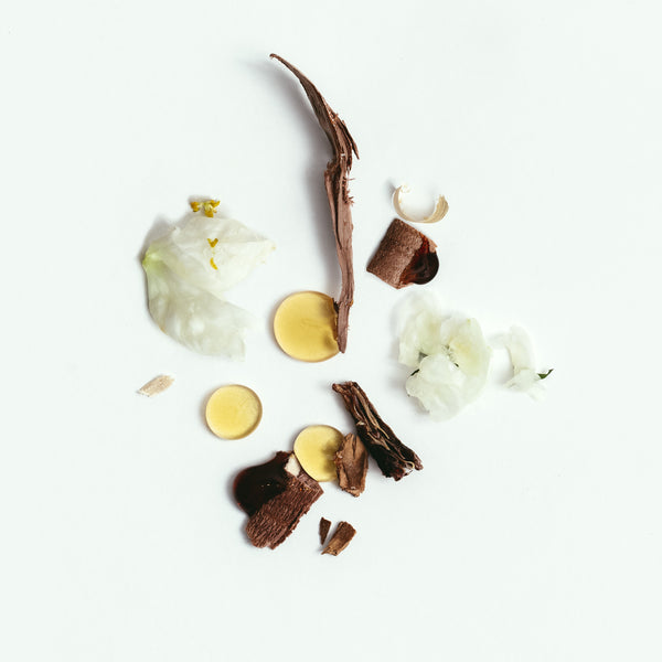 CORPUS Cedar Flora Natural Deodorant