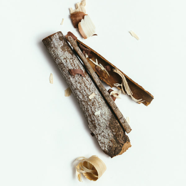 CORPUS Santalum Natural Deodorant