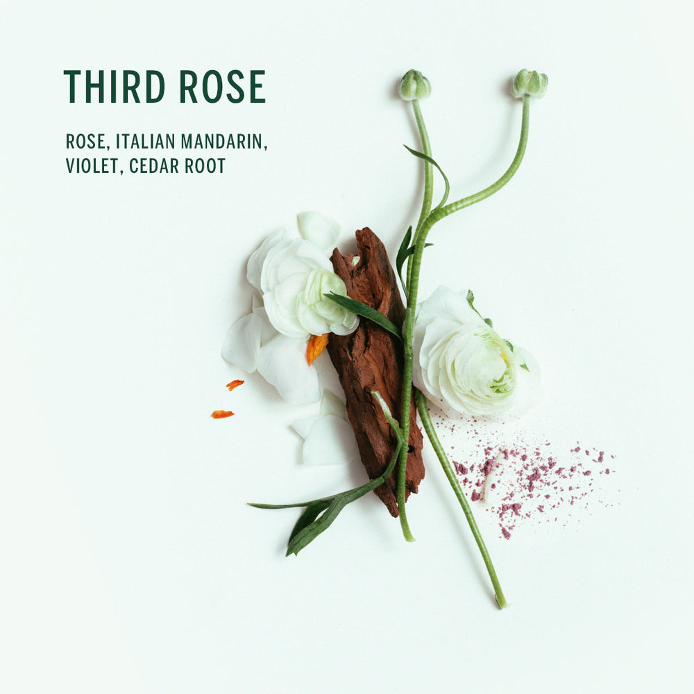 CORPUS Third Rose Natural Body Wash in mint aluminium bottle with mint pump on white background