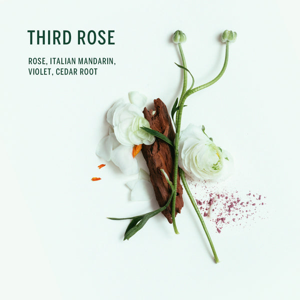 CORPUS - Third Rose Natural Body Wash