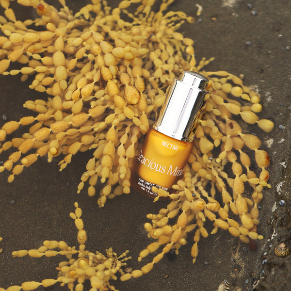 GRACIOUS MINDS Nectar Complex Firming Eye Serum
