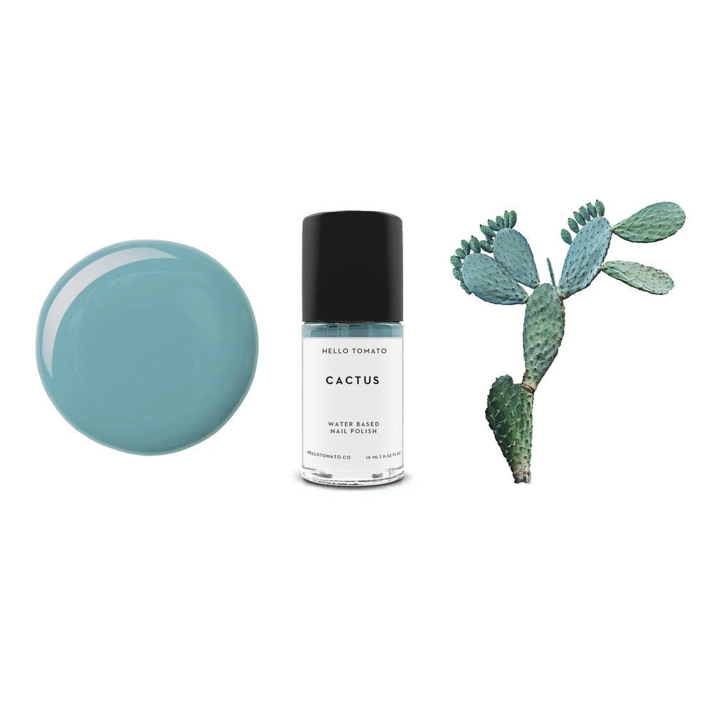HELLO TOMATO Cactus nail polish, a muted teal green, think of beautiful hues of cacti and succulents.