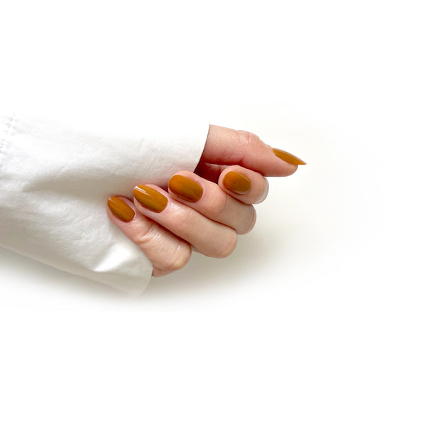 HELLO TOMATO Chanterelle