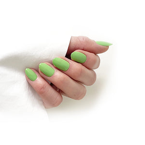 HELLO TOMATO Edamame