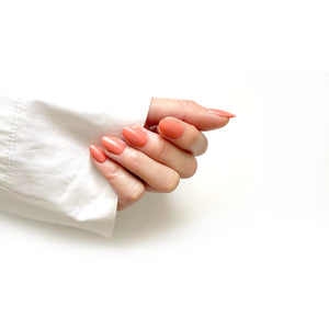 HELLO TOMATO Flamingo