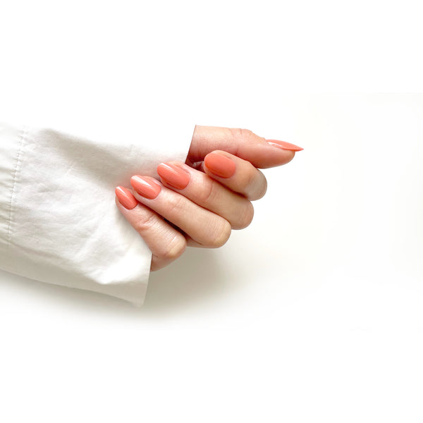 HELLO TOMATO Flamingo