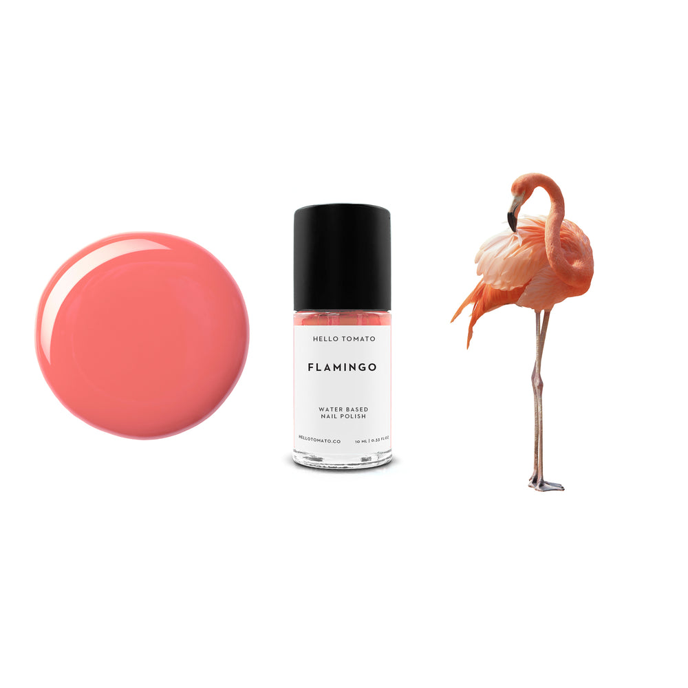 HELLO TOMATO Flamingo nail polish, a muted but bright peach tone, inspired by the reddish-pink feathers of these gentle American birds.