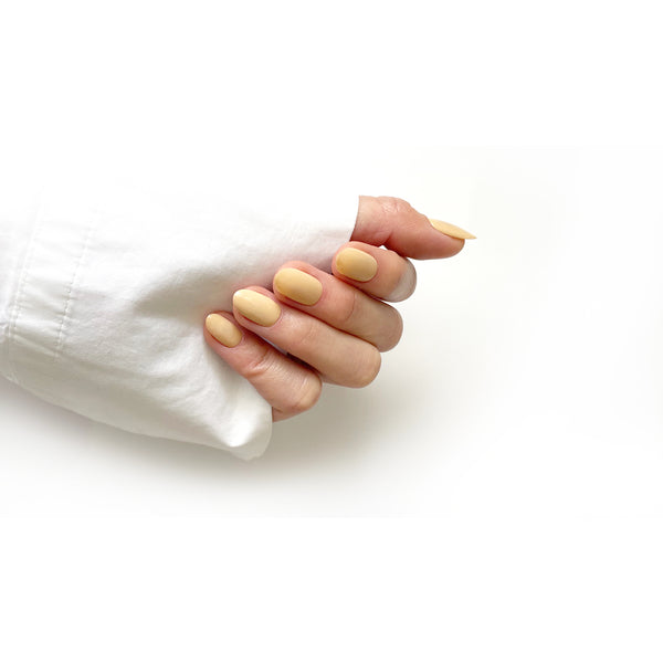 HELLO TOMATO Oatmeal