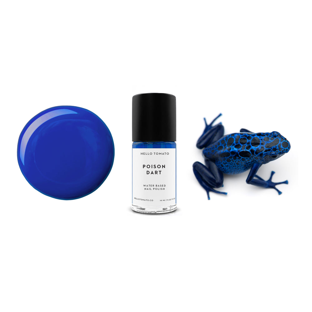 HELLO TOMATO Poison Dart nail polish, a confident bright cobalt blue, inspired by this elusive poisonous amphibian.