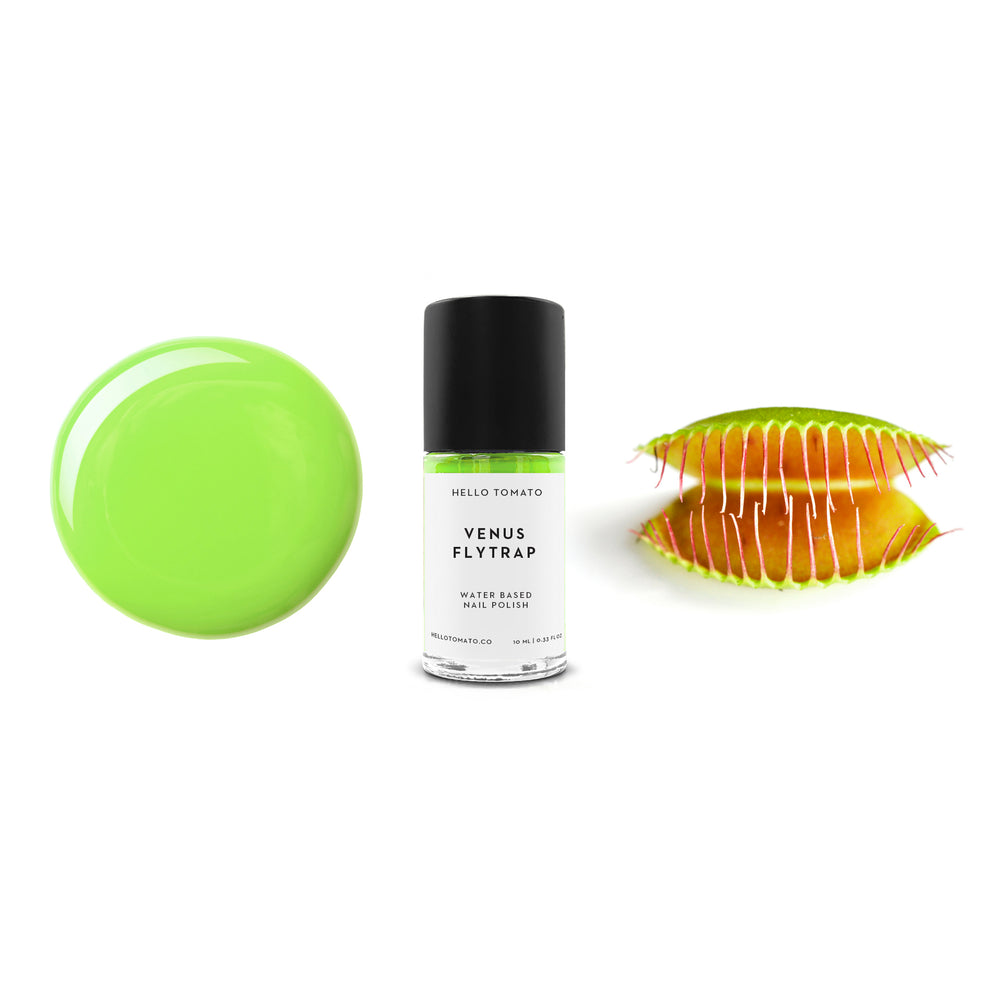 HELLO TOMATO Venus Flytrap nail polish, a bold neon green inspired by this elegant yet deadly carnivorous plant. 