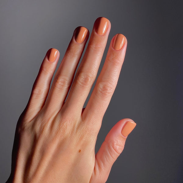 KAROLIN VAN LOON 53 Voile de Caramel