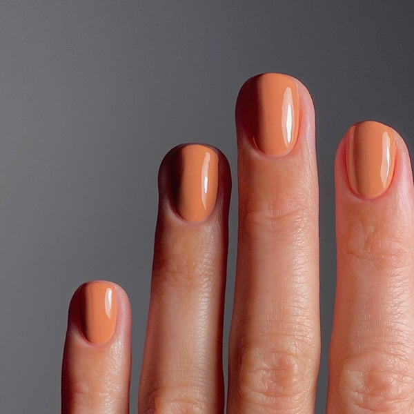 KAROLIN VAN LOON 53 Voile de Caramel