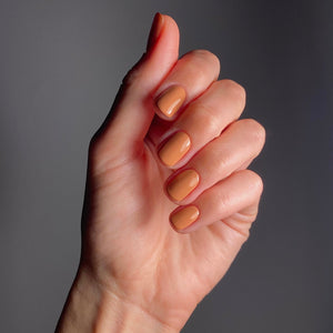 KAROLIN VAN LOON 53 Voile de Caramel