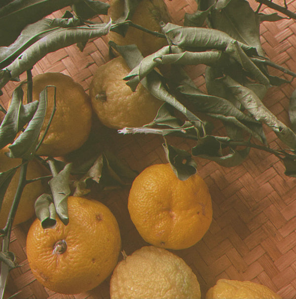 Yuzu on a branch with green leaves against a woven background. LEPAAR Calm Yuzu Sandalwood Mineral Water / Cooling Face + Aura Tonic