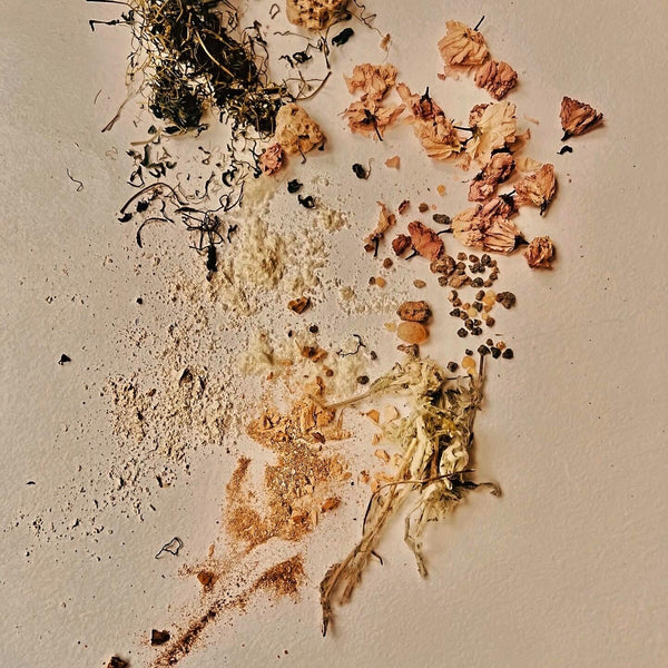 Dried flowers and herbs arranged on a textured surface