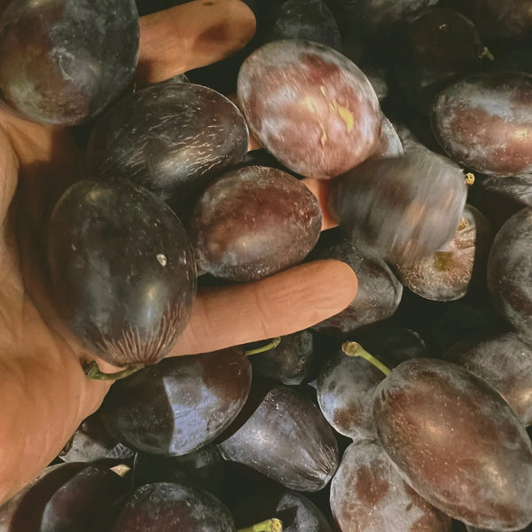 LEPAAR ROSE GOLD GLOW BALM / Energising Face Infusion