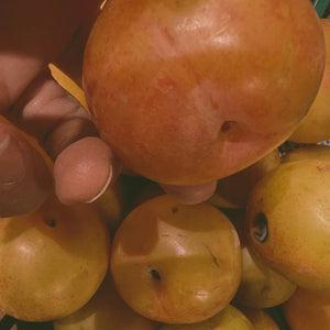 LEPAAR ROSE GOLD GLOW BALM / Energising Face Infusion