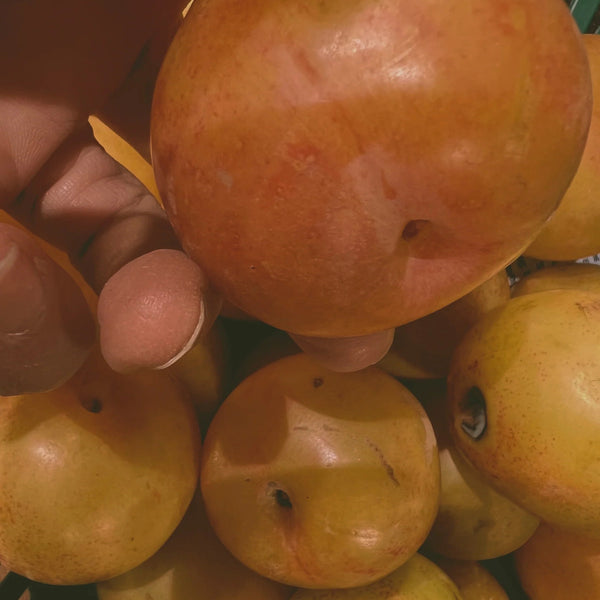 LEPAAR ROSE GOLD GLOW BALM / Energising Face Infusion