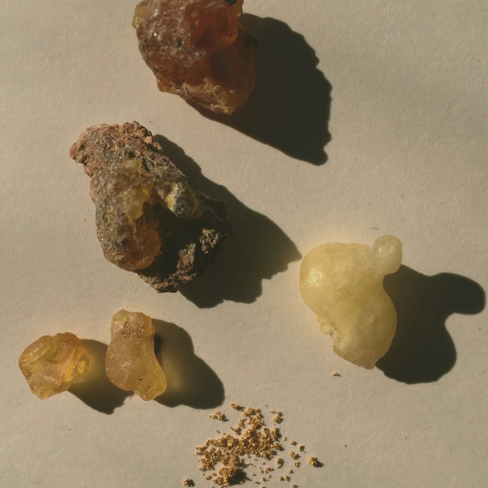 LEPAAR Sacred Trinity Anointment Oil featuring a blend of Frankincense, Myrrh, and 24k Gold in a 10 ml bottle, surrounded by natural ingredients and botanical elements.