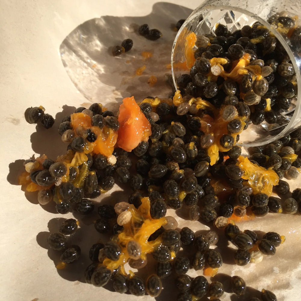 LEPAAR Velvet Sole Lip + Face Balm in glass jar with golden balm, a nourishing balm for dry lips and delicate facial skin, enriched with botanicals and 24k gold.