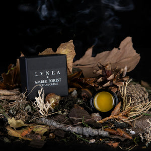 LVNEA AMBER FOREST Parfum Crème - poplar bud, labdanum, spruce resin