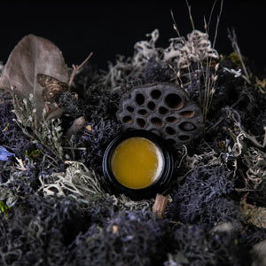 LVNEA MOON MOSS Parfum Creme lavender, oakmoss, patchouli