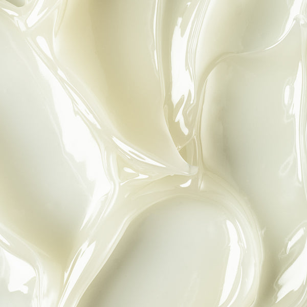 MANASI 7 Limited Edition Box Discovery Set