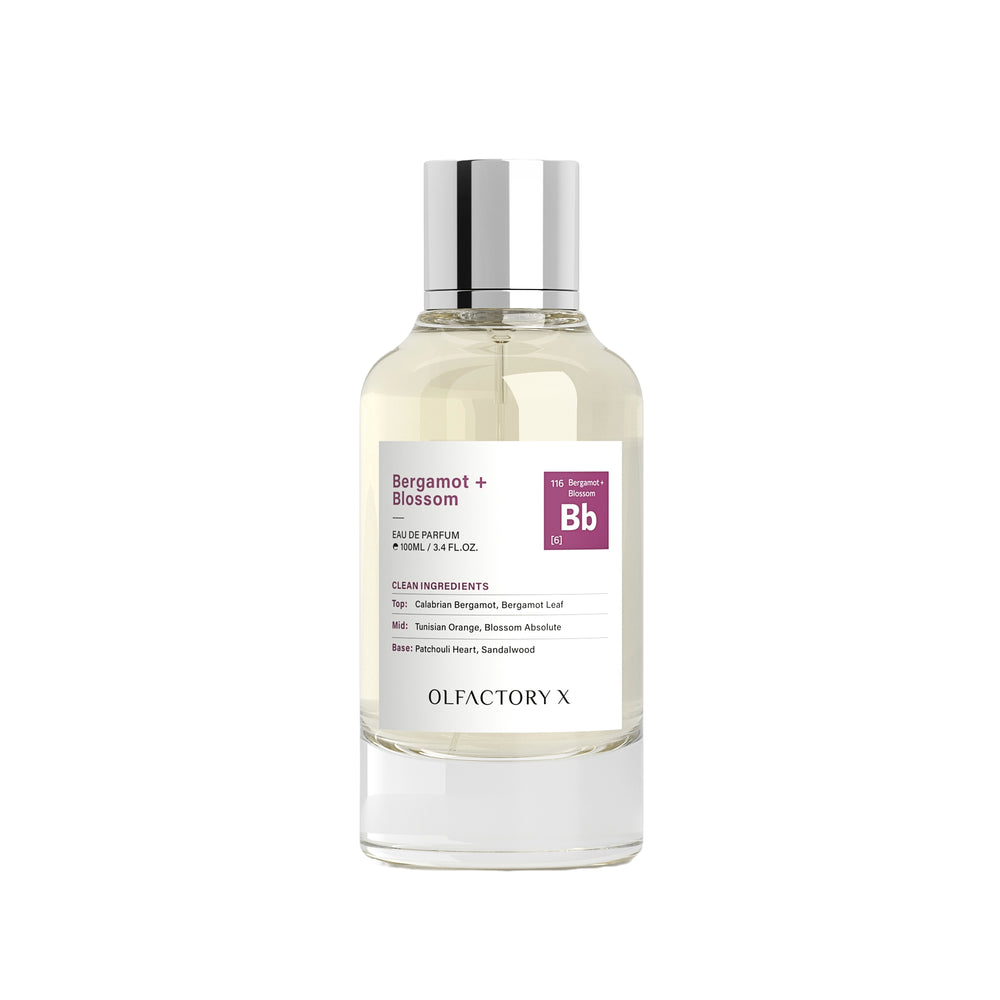 A clear glass bottle of Olfactory X Bergamot + Blossom Eau de Parfum with a silver cap and a white label featuring a purple 'Bb' logo, set against a plain white background.
