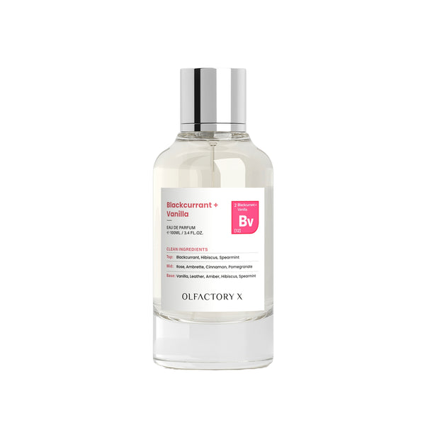 A clear glass bottle of Olfactory X Blackcurrant + Vanilla Eau de Parfum with a reflective silver cap and a white label featuring pink accents, set against a plain white background.