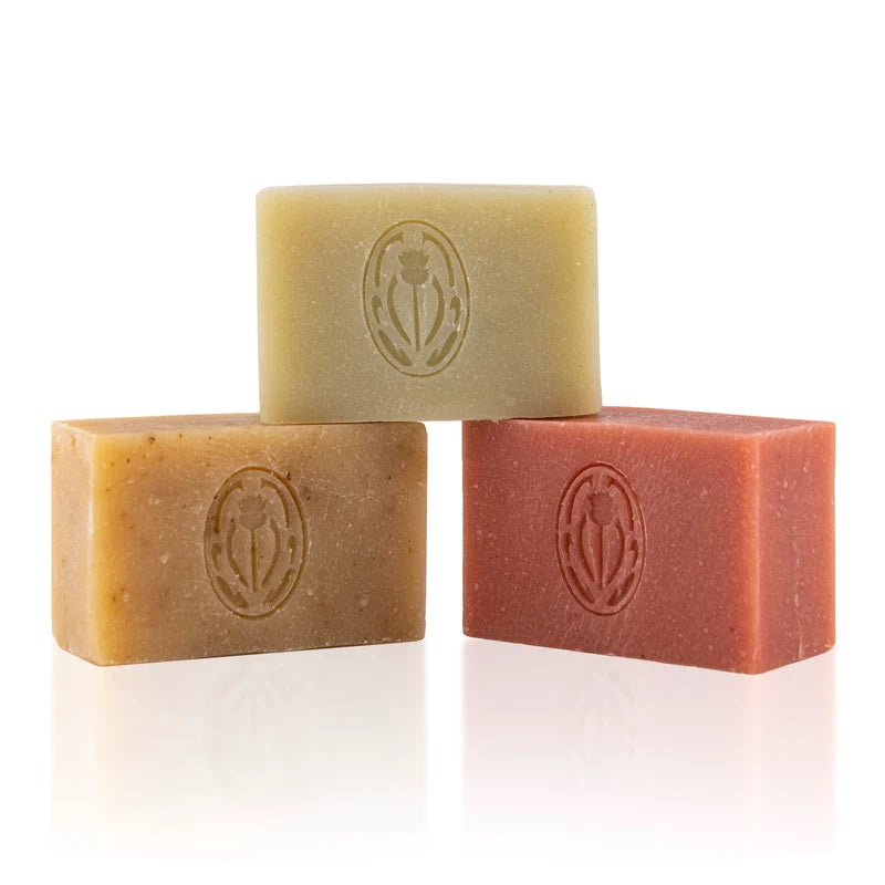 Sangre de Fruta Signature Scents Set – a limited edition trio of botanical soaps wrapped in hand-dyed paper, featuring Garden of Earthly Delights, Head of Roses, and Neroli Noir.