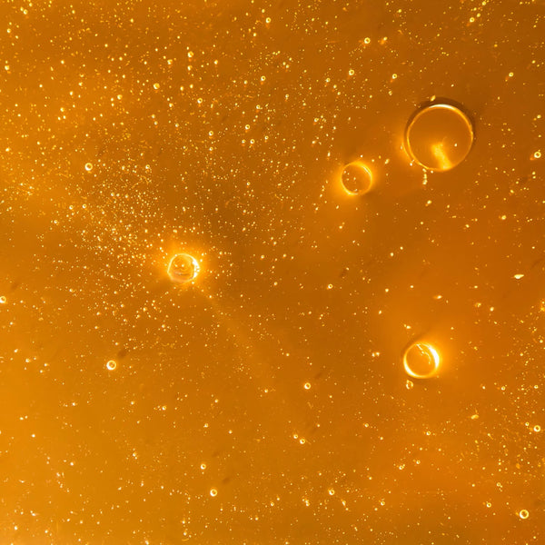 SEED TO SKIN TUSCANY The Revival Shampoo