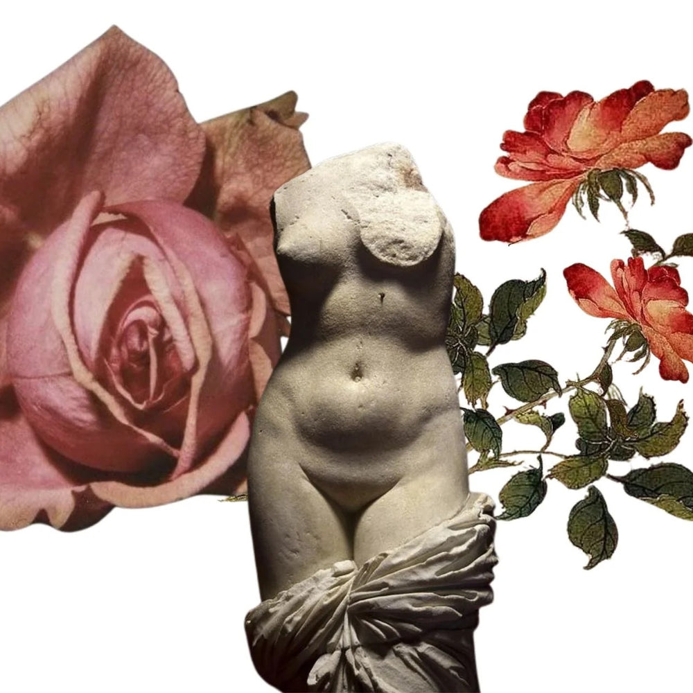 SHIVA ROSE Venus Rose Deodorant