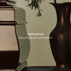 SIDIA The Hand Serum Nirvana