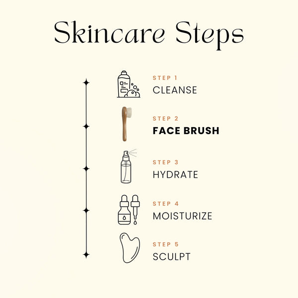 Diagram of skincare steps with icons and text on a white background