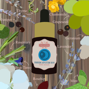 THE POTION MASTERS Bibbidi Spotibi Boo Pore Serum