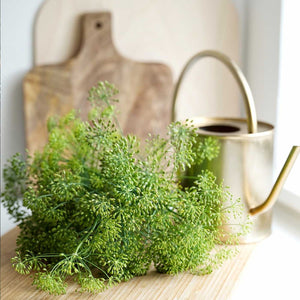 THE WITCHERY CPH Blackberry + Dill Face & Neck Oil