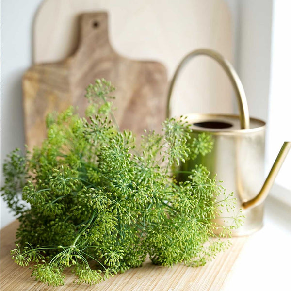 THE WITCHERY CPH Blackberry + Dill Face & Neck Oil